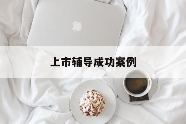 上市辅导成功案例(上市辅导成功后肯定会上市吗)临汾市